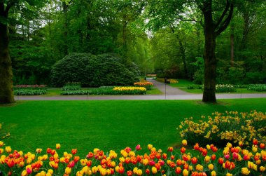 Yeşil çimenler, ağaçlar ve güneş ışığında açan çiçeklerle dolu bahar çiçeği parkı.