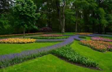 Çiçek açan bahar çiçekleri ve yeşil çimenleri olan bahçe. 