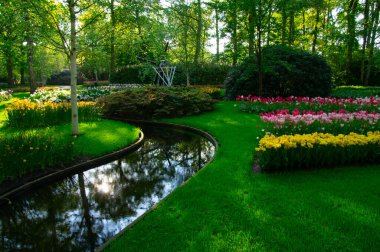 Çiçek açan bahar çiçekleri ve yeşil çimenleri olan bahçe. 