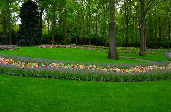 Çiçek açan bahar çiçekleri ve yeşil çimenleri olan bahçe. 