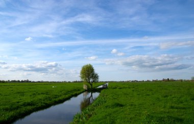 Yeşil çayır ve kanal manzarası Hollanda 'da berrak su ile