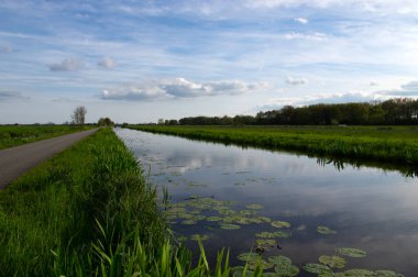 Yeşil çayır ve kanal manzarası Hollanda 'da berrak su ile