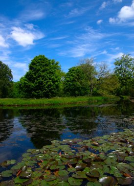 Şehir parkındaki göl mavi gökyüzü arka planında