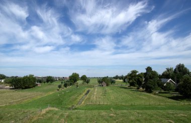 Yeşil çayır manzarası ve gökyüzündeki bulutlar 
