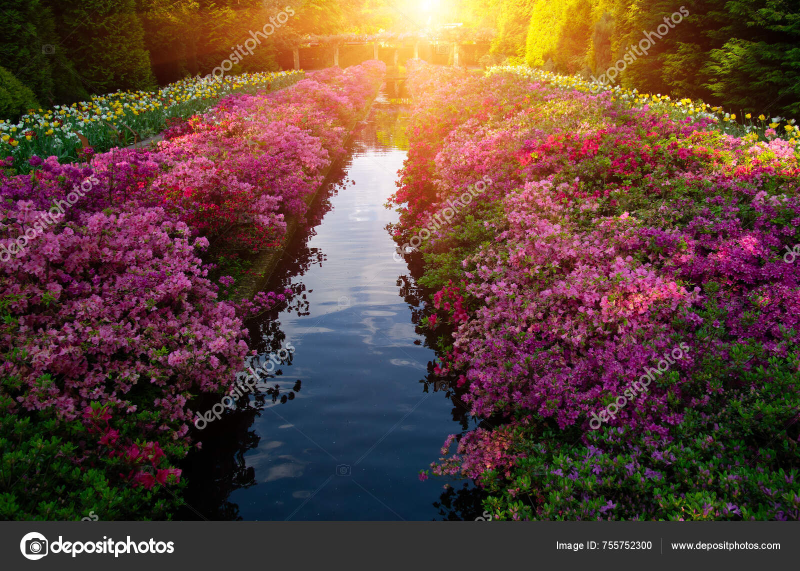 Parque Flores Primavera Con Hierba Verde Árboles Flores Florecientes Luz —  Foto de stock #755752300 © Ale-ks, image size:1600x1141