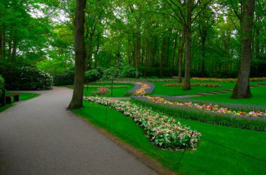 Botanik bahçesinde yeşil çimenler, bahar çiçekleri ve güneş ışığı olan bir bahçe taşı patikası.