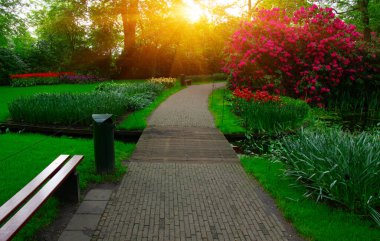 Yeşil çimenler, ağaçlar ve güneş ışığında açan çiçeklerle dolu bahar çiçeği parkı.