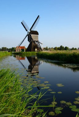 Hollanda 'da geleneksel Hollanda rüzgar gülü güneşli bir yaz gününde.