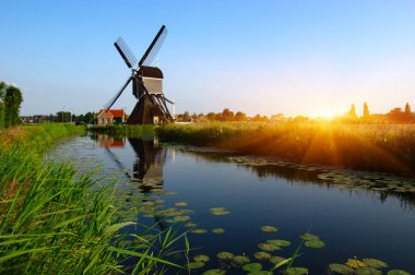Hollanda 'da güneş ışığı altında yel değirmeni.