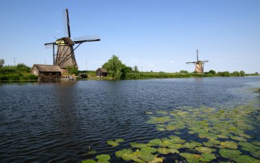 Hollanda 'da deniz kenarında güneşli bir günde yel değirmeni