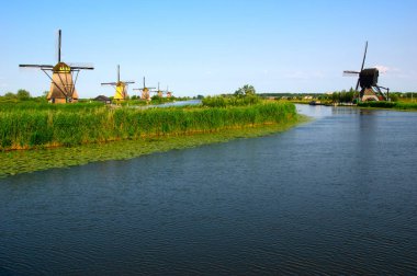 Hollanda 'da deniz kenarında güneşli bir günde yel değirmeni