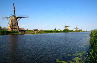 Hollanda 'da deniz kenarında güneşli bir günde yel değirmeni