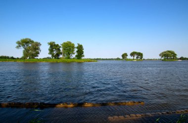 Manzara sabah gölü ve bahar sahnesi Sahilde ağaçlarla dolu nehir.