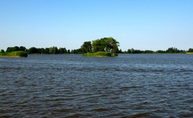 Manzara sabah gölü ve bahar sahnesi Sahilde ağaçlarla dolu nehir.
