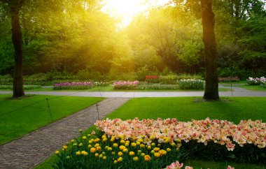 Botanik bahçesinde yeşil çimenler, bahar çiçekleri ve güneş ışığı olan bir bahçe taşı patikası.