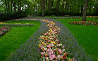 Çiçek açan bahar çiçekleri ve yeşil çimenleri olan bahçe. 