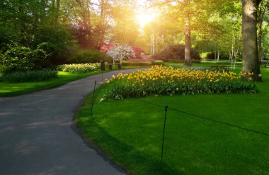 Botanik bahçesinde yeşil çimenler, bahar çiçekleri ve güneş ışığı olan bir bahçe taşı patikası.
