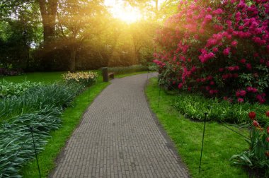 Yeşil çimenler, ağaçlar ve güneş ışığında açan çiçeklerle dolu bahar çiçeği parkı.