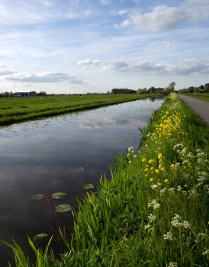Yeşil çayır ve kanal manzarası Hollanda 'da berrak su ile