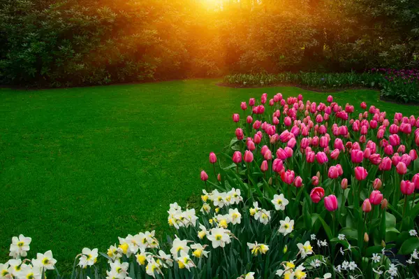 İlkbaharda parkta çiçekler