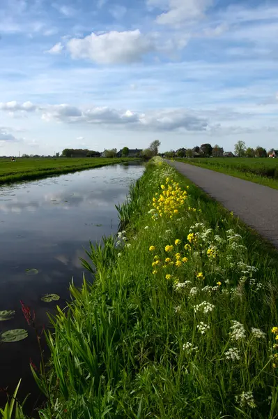 Yeşil çayır ve kanal manzarası Hollanda 'da berrak su ile
