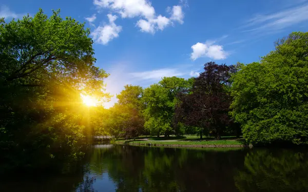 Şehir parkındaki göl mavi gökyüzü arka planında