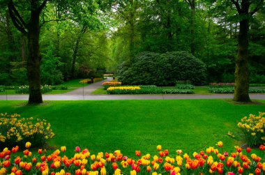 Yeşil çimenler, ağaçlar ve güneş ışığında açan çiçeklerle dolu bahar çiçeği parkı.