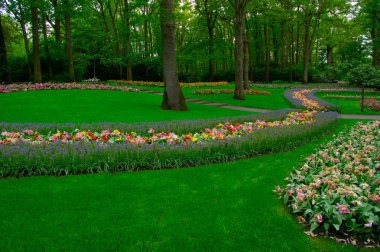 Çiçek açan bahar çiçekleri ve yeşil çimenleri olan bahçe. 