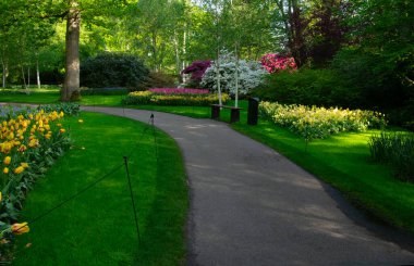 Botanik bahçesinde yeşil çimenler, bahar çiçekleri ve güneş ışığı olan bir bahçe taşı patikası.
