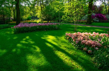 Çiçek açan bahar çiçekleri ve yeşil çimenleri olan bahçe. 