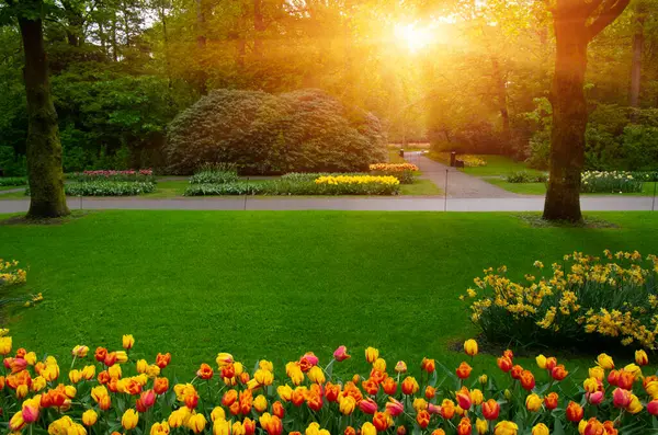 Yeşil çimenler, ağaçlar ve güneş ışığında açan çiçeklerle dolu bahar çiçeği parkı.