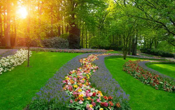 Yeşil çimenler, ağaçlar ve güneş ışığında açan çiçeklerle dolu bahar çiçeği parkı.
