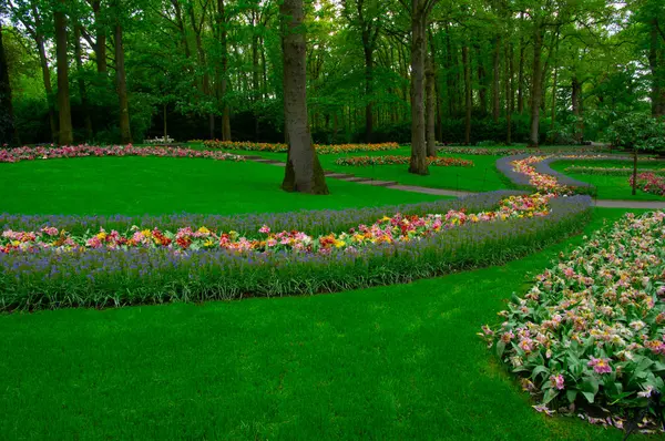 Çiçek açan bahar çiçekleri ve yeşil çimenleri olan bahçe. 