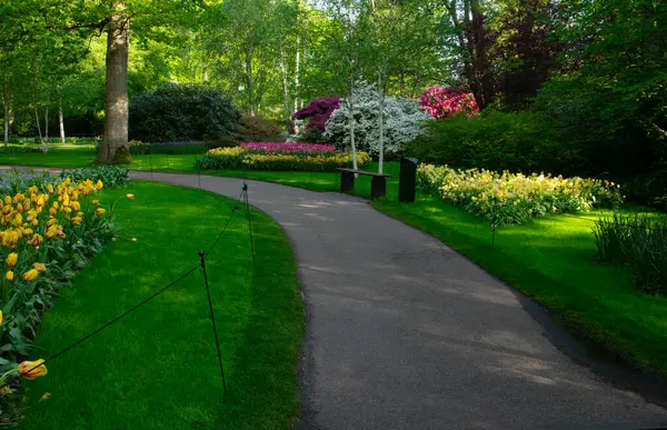 Botanik bahçesinde yeşil çimenler, bahar çiçekleri ve güneş ışığı olan bir bahçe taşı patikası.