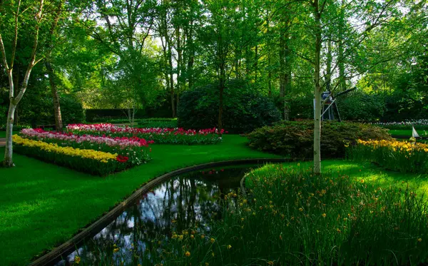 Çiçek açan bahar çiçekleri ve yeşil çimenleri olan bahçe. 
