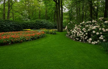 Çiçek açan bahar çiçekleri ve yeşil çimenleri olan bahçe. 