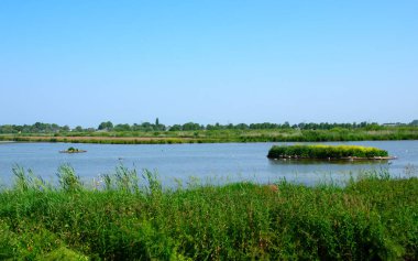 Göl manzarası ve mavi gökyüzü yansıyor. Nehirdeki su tesisleri ve Hollanda 'daki sulak alanlar