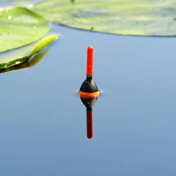 Fishing Float Leaves Water Lilies Angling Tackle Bobber Forest Lake — Stock Photo, Image