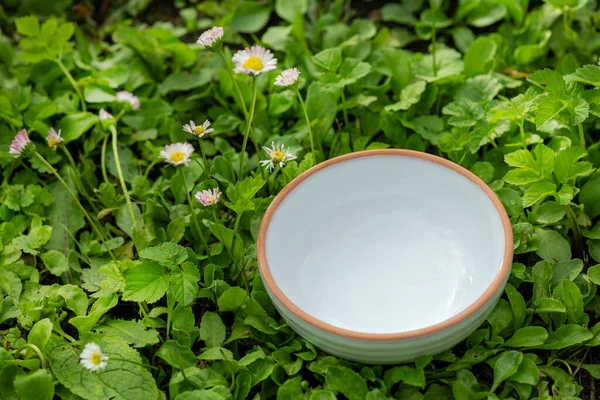 empty white bowl on green plant leaves background, selective focus