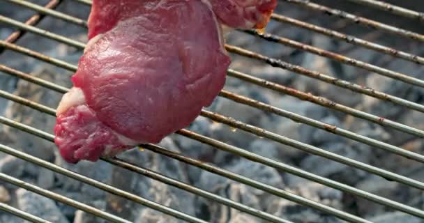 Grillade Steak Bœuf Juteux Frais Sur Barbecue Charbon Bois Brûlant — Video