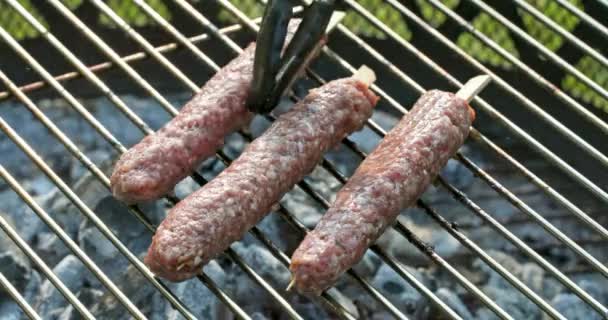 Darált Hús Kebab Nyársak Grillezés Egy Faszén Grill — Stock videók