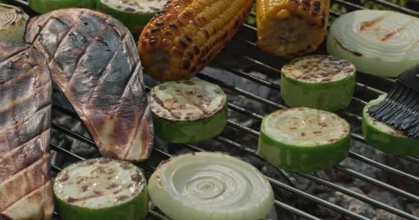 Divers Grillades Légumes Grillés Sur Barbecue Charbon Bois — Video