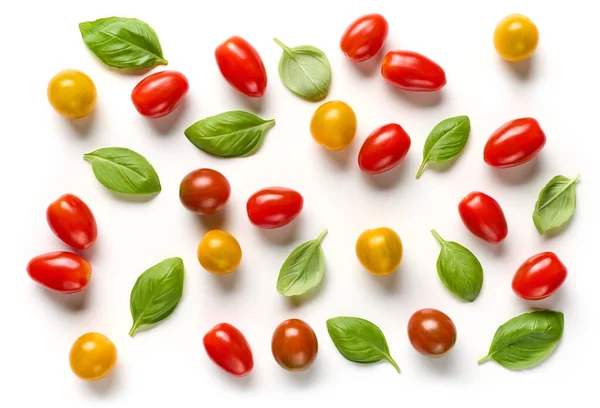 Platt Låg Sammansättning Olika Färgglada Tomater Och Basilika Blad Isolerad — Stockfoto