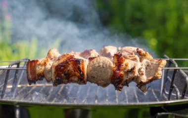 grilled marinated pork meat skewers on charcoal grill clipart