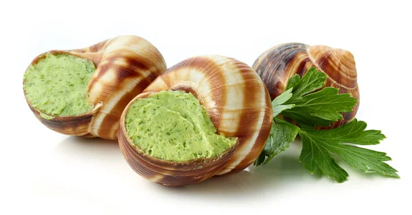 Escargot Snail Filled Garlic Parsley Butter Isolated White Background — Stock Photo, Image
