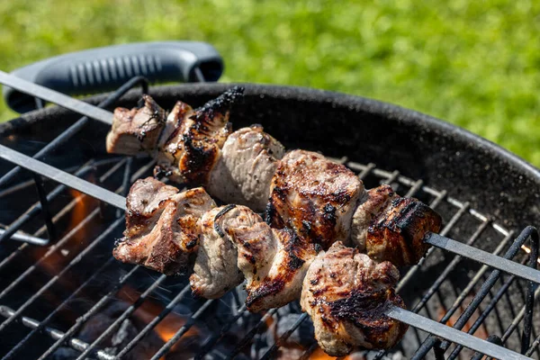 Grilled Marinated Pork Meat Skewers Charcoal Grill — Stock Photo, Image