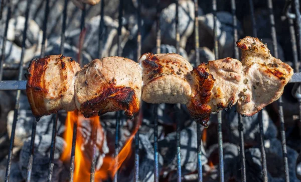 炭火で焼き肉串焼き — ストック写真