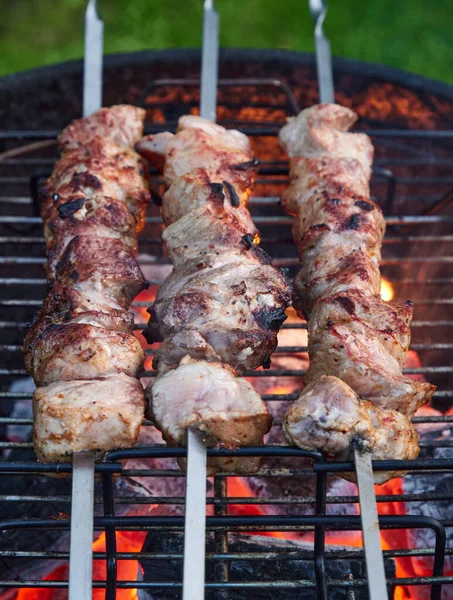 Grilled Marinated Pork Meat Skewers Charcoal Grill Selective Focus — Stock Photo, Image