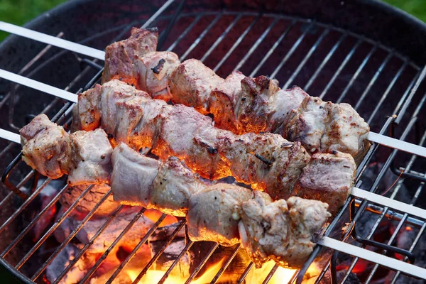 Brochetas Carne Cerdo Marinadas Parrilla Enfoque Selectivo —  Fotos de Stock