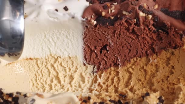 Metal Kaşıkla Konteynırdan Çıkan Çeşitli Aromalı Dondurmalar — Stok video